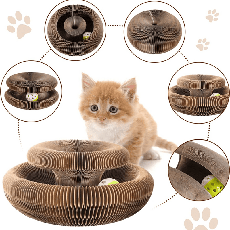 Brinquedo Interativo Para Gatos I Cat Joy + 1 Bola de Brinde - Buzz Loja
