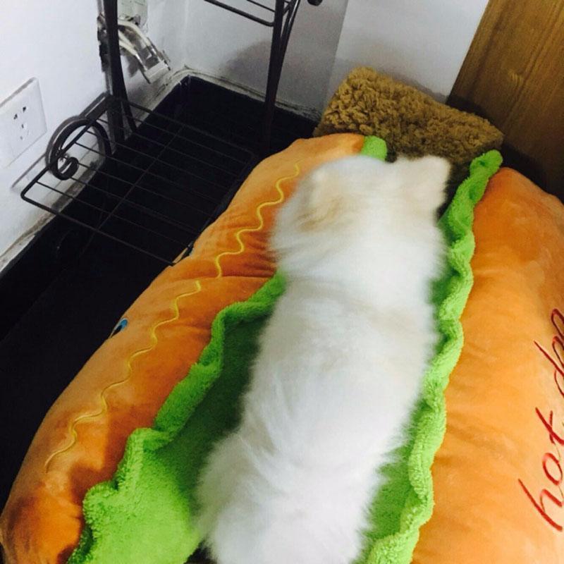 Cama para Pets - Hot Dog - Buzz Loja