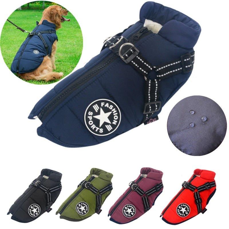Colete Corta-Vento Pet Jones™ | Roupa Para Cachorro - Buzz Loja