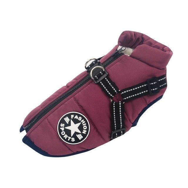 Colete Corta-Vento Pet Jones™ | Roupa Para Cachorro - Buzz Loja
