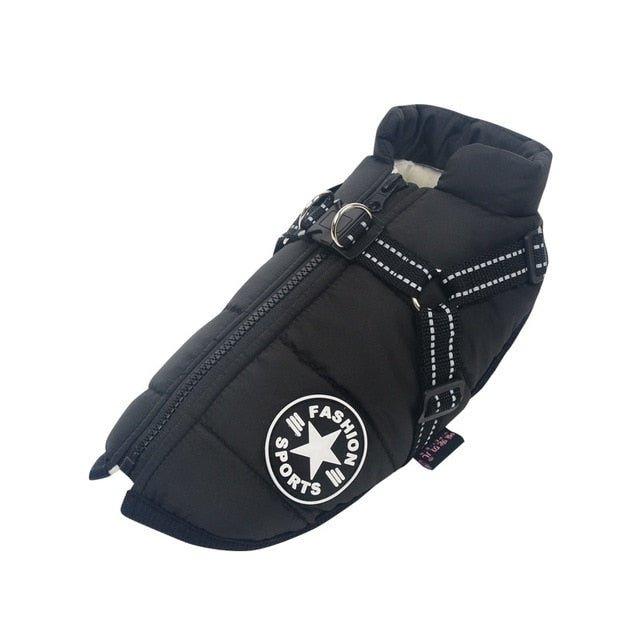 Colete Corta-Vento Pet Jones™ | Roupa Para Cachorro - Buzz Loja