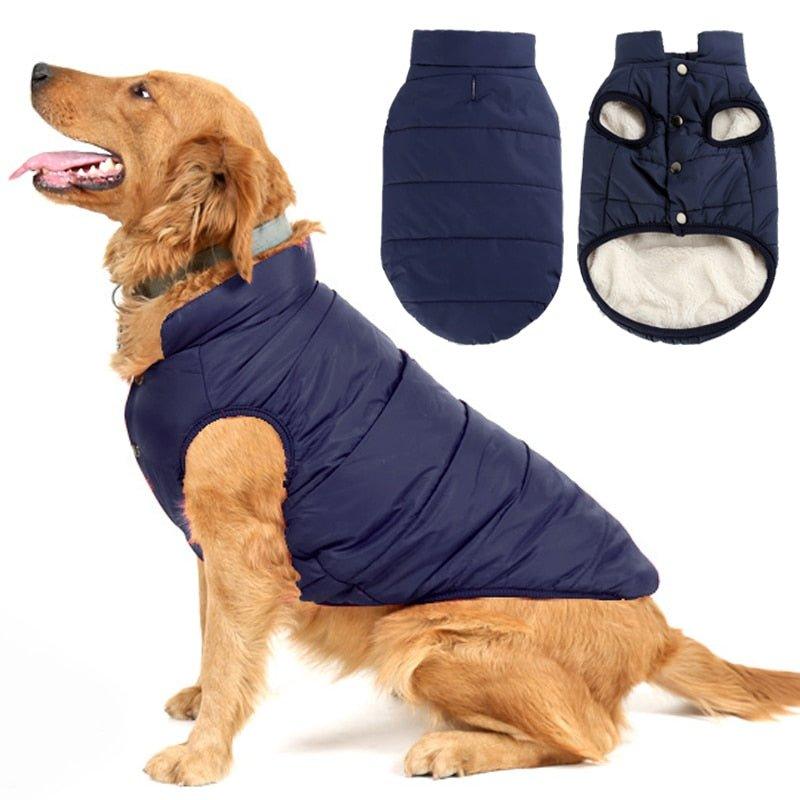 Colete Pet Steve™ | Roupa Para Cachorro - Buzz Loja