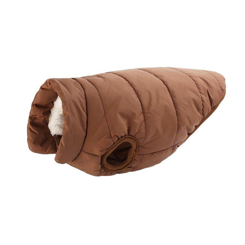 Colete Pet Steve™ | Roupa Para Cachorro - Buzz Loja