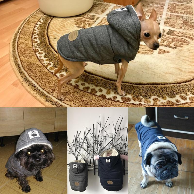 Colete de Inverno para Cachorros | Gentleman - Buzz Loja